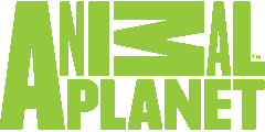 Animal Planet (APL) - Channel 184 | Dish Promotions